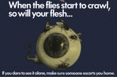 Quatro Moscas no Veludo Cinza : O mais onírico filme da trilogia dos animais